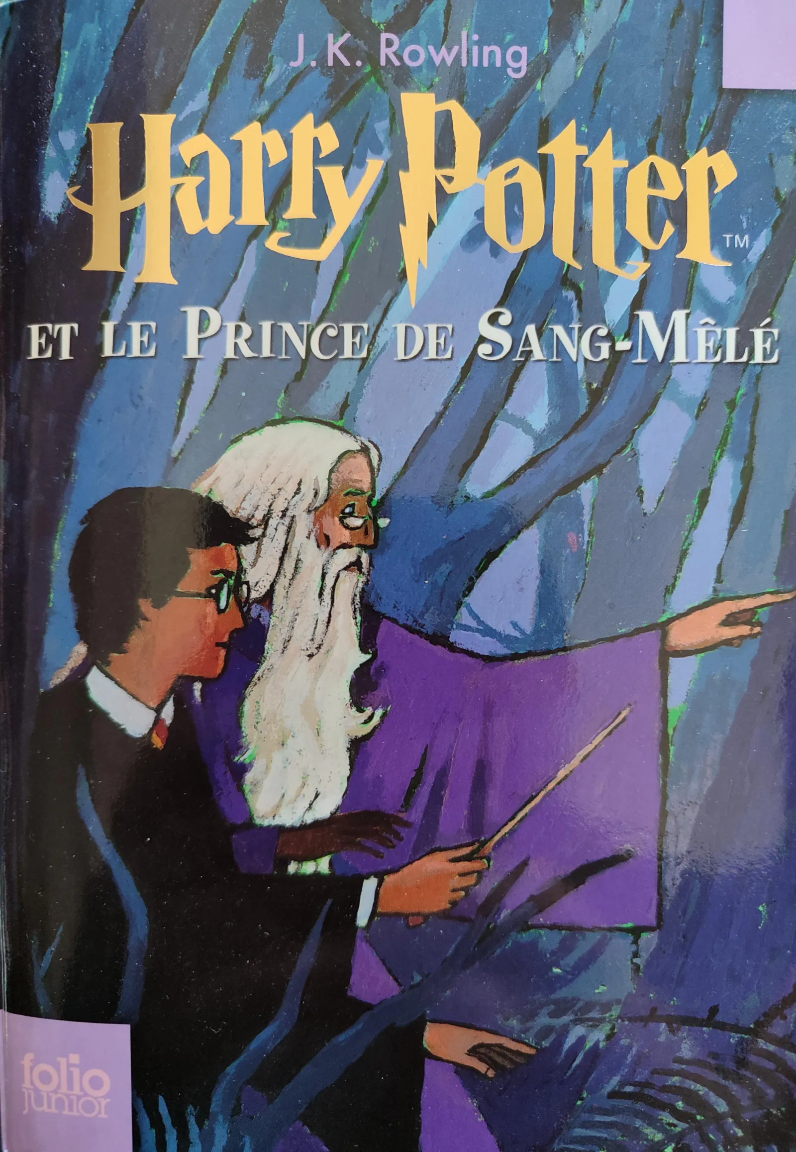 Joanne K. Rowling: Harry Potter et le Prince de Sang-Mêlé (French language, 2007, Gallimard Jeunesse)