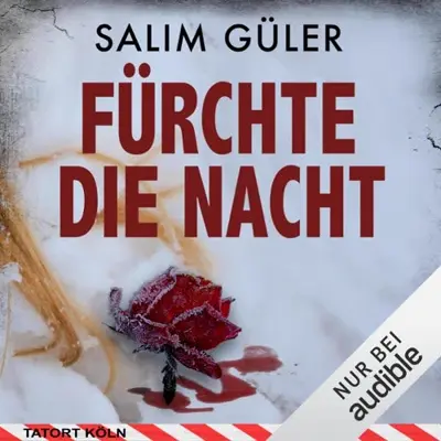 Salim Güler: Fürchte die Nacht (AudiobookFormat, German language, Audible Studios)