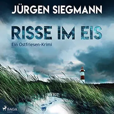 Jürgen Siegmann: Risse im Eis (AudiobookFormat, German language, SAGA Egmont)